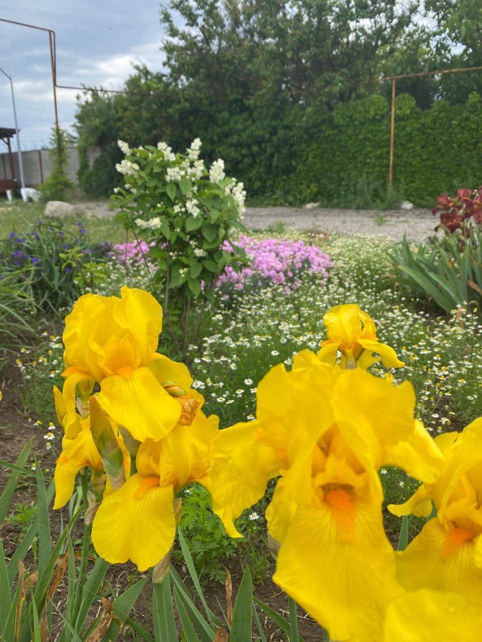 Bukhta Aparthotel Vapniarka Buitenkant foto